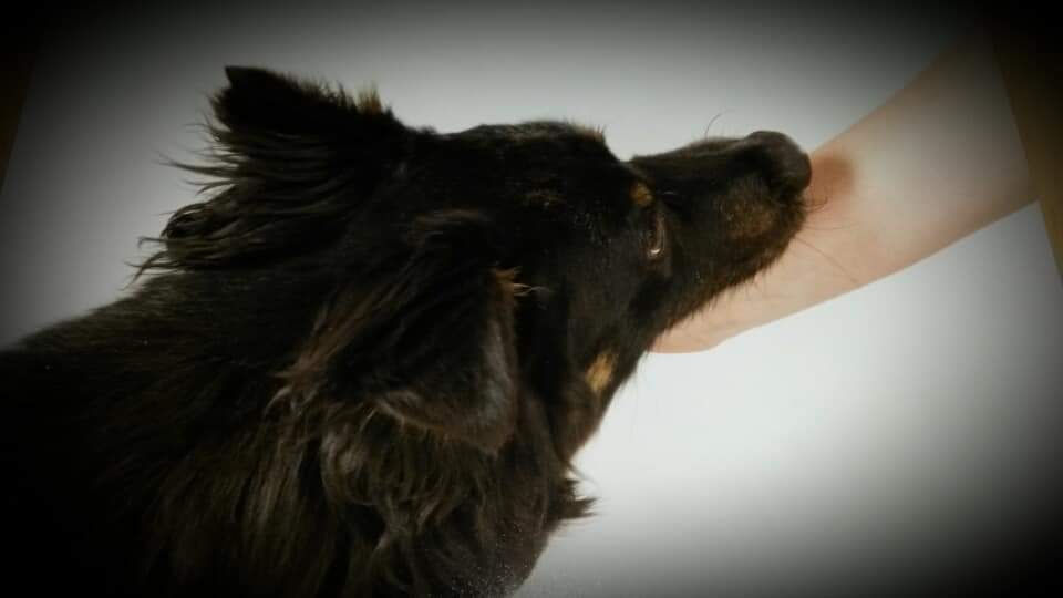 Bild von Ninjo.