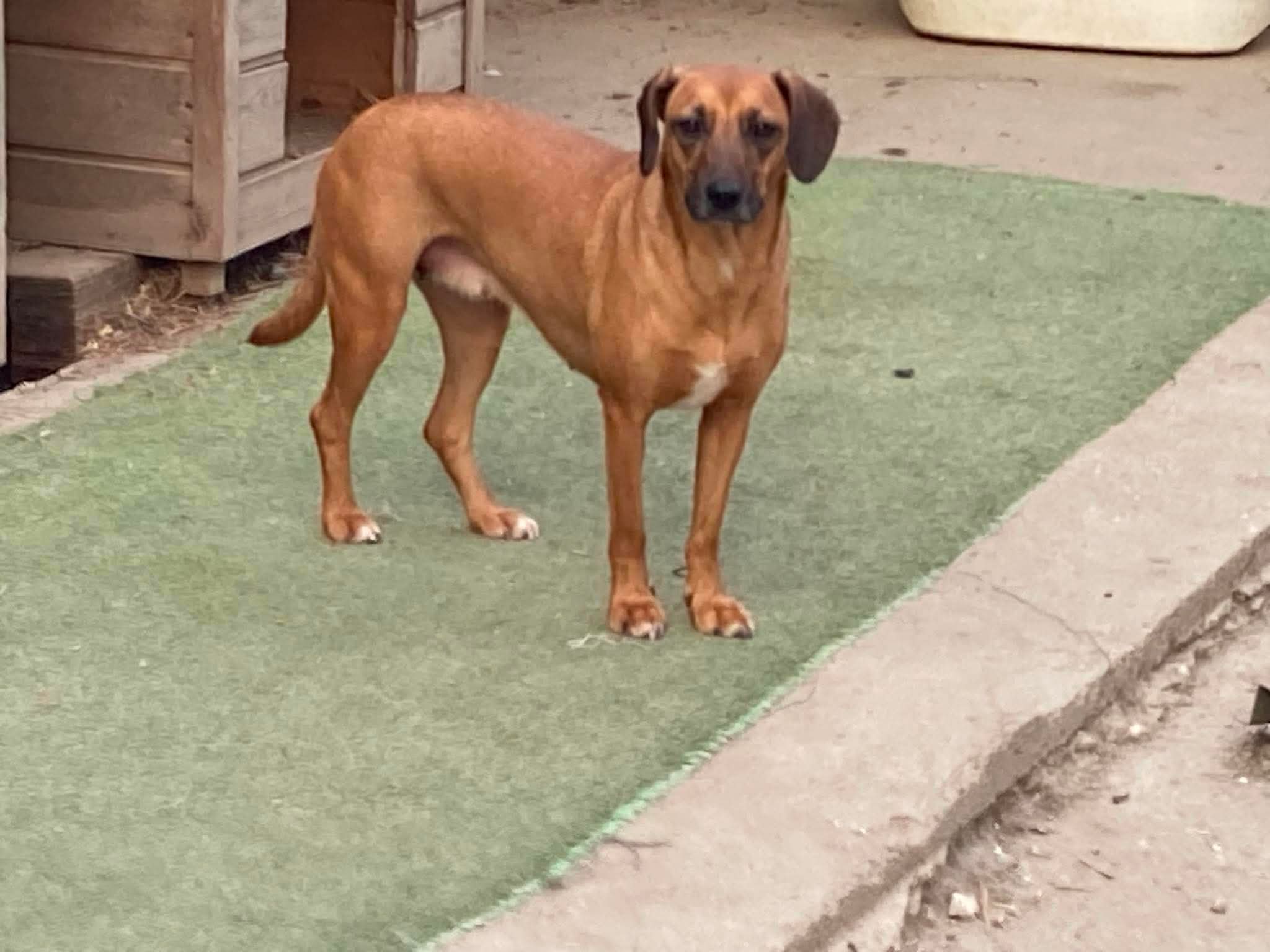 Bild von Nala.