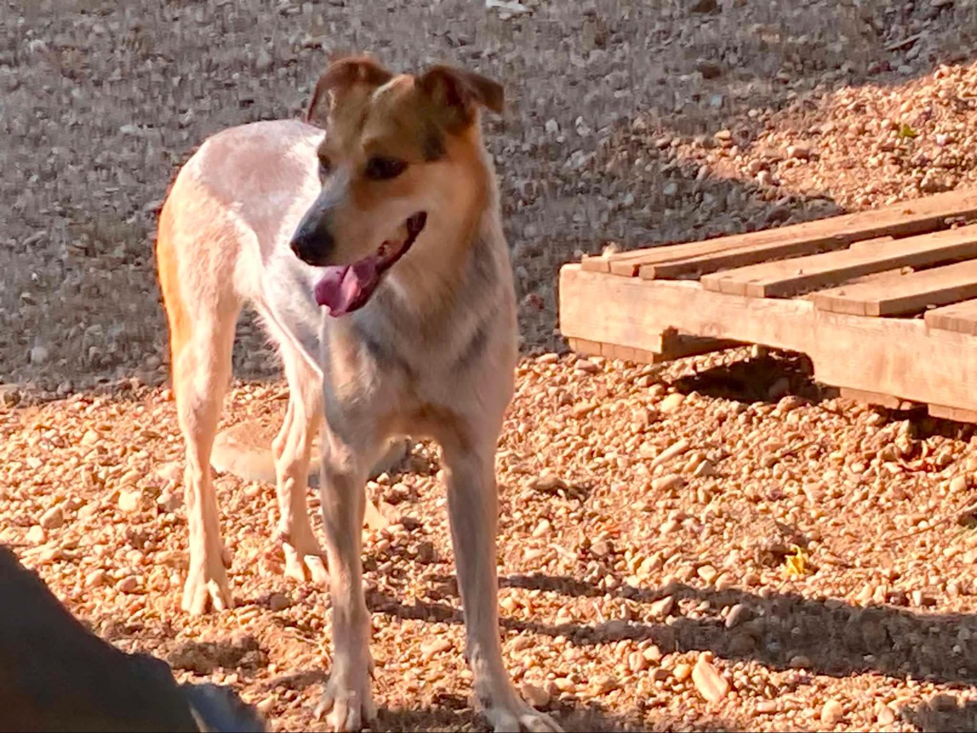 Bild von Nelly.