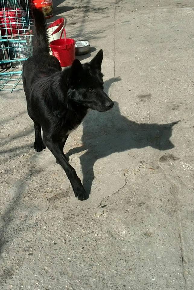 Bild von Nero.